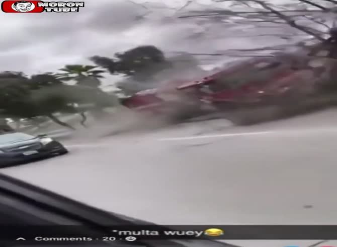 Video :A fire engine strikes a tree while he records his cat in the vehicle